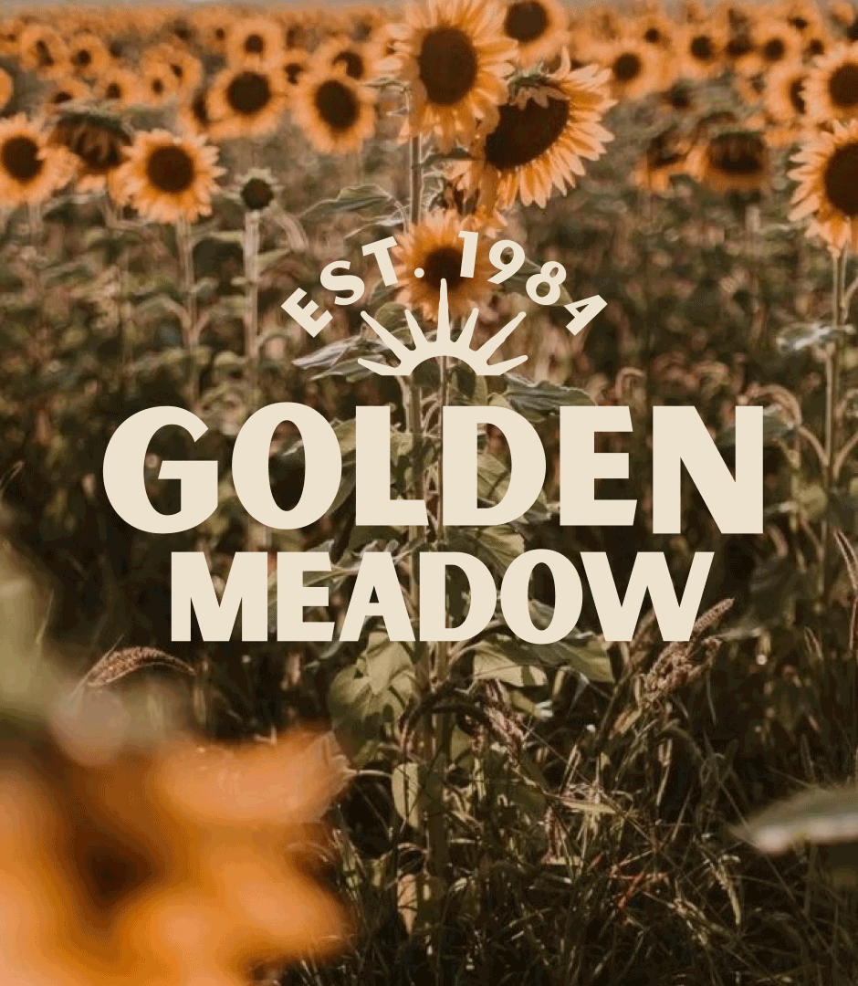 Golden Meadow project thumbnail